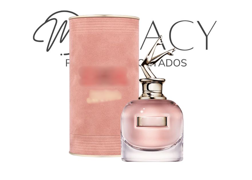 PROMOÇÃO COMPRE 1 LEVE 4 - Coleção Importada Feminina Paris Vip - Queima de Estoque Black Friday! 🔥 - 100ml Cada